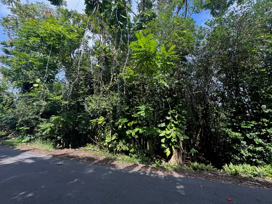 28th Ave, Keaau, HI 96749 - Image #2