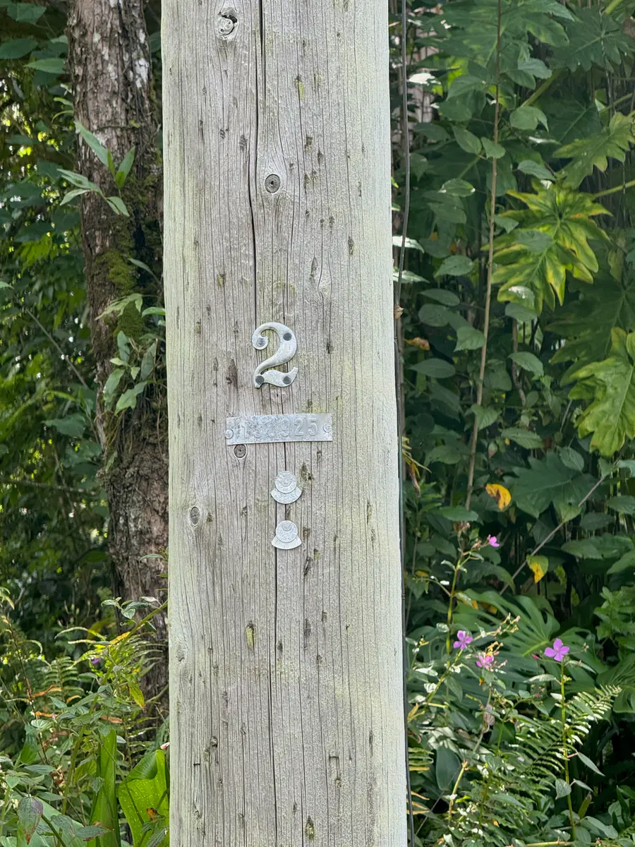 28th Ave, Keaau, HI 96749 - Image #3