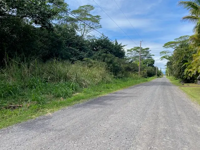 Makuu Dr, Keaau, HI 96749 - #2