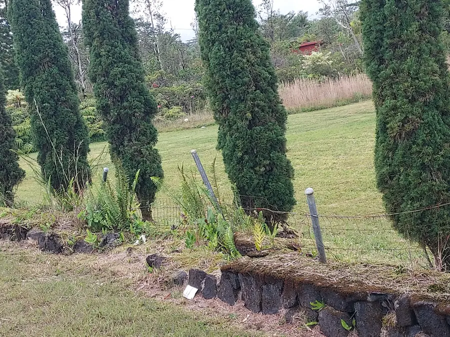 16-300 Ainaloa Blvd, Kurtistown, HI 96760 - Image #3