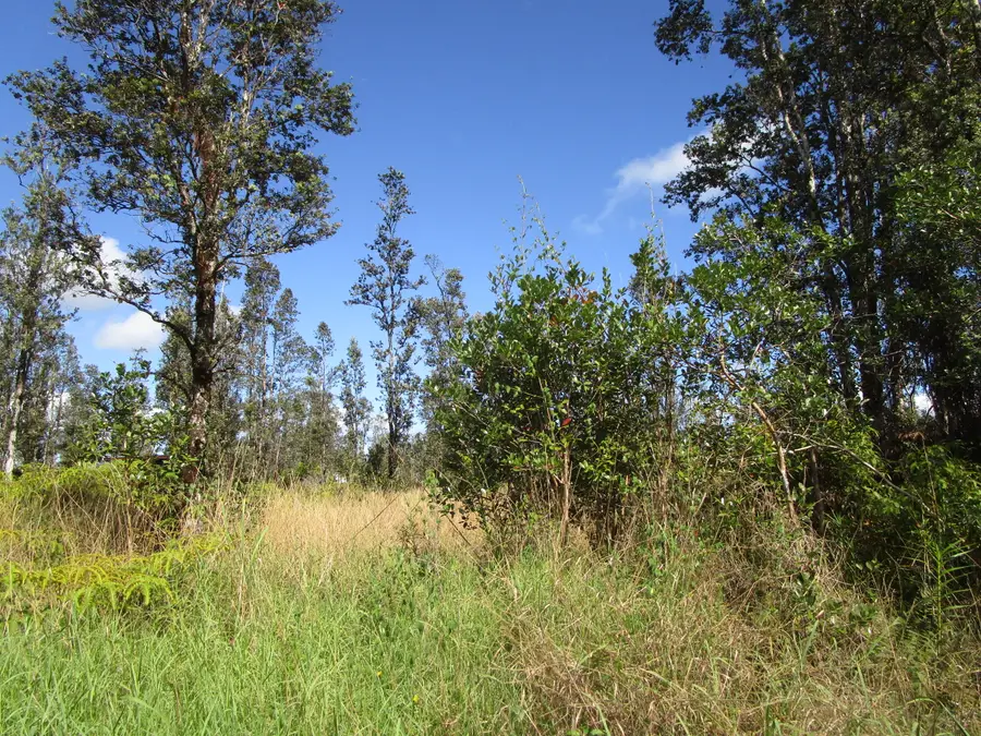 Road 9 (koloa Maoli), Kurtistown, HI 96760 - Image #2