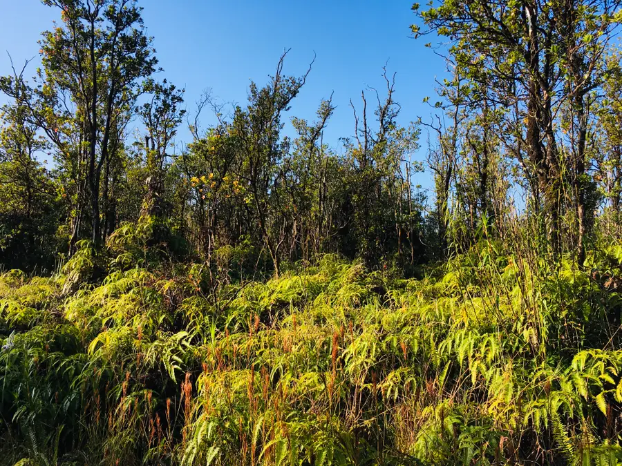 11-2785 Ala Kapena, Volcano, HI 96785 - #2