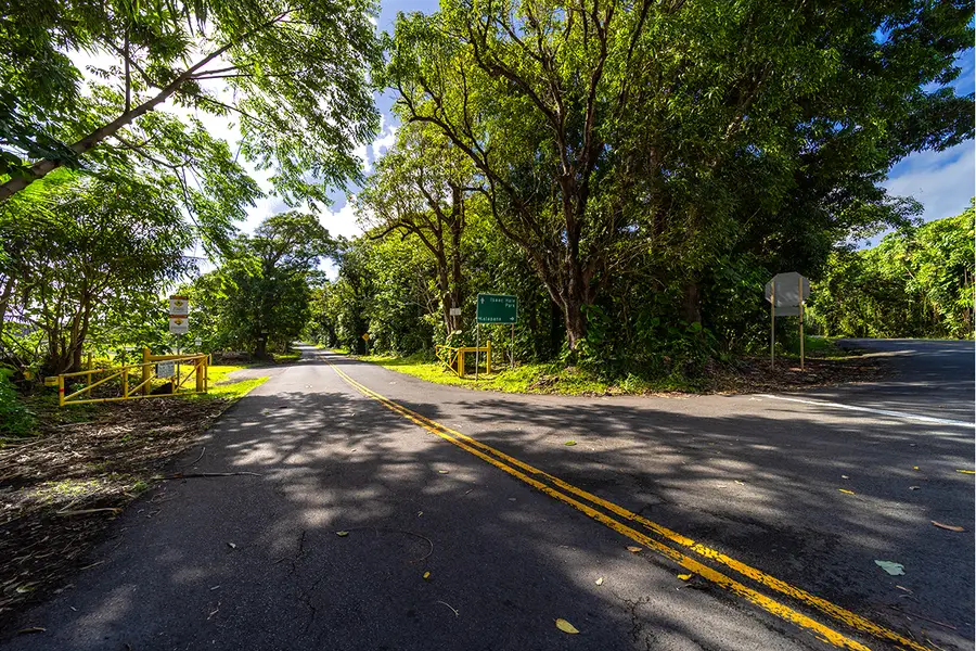 Pohoiki Rd, Pahoa, HI 96778 - #3