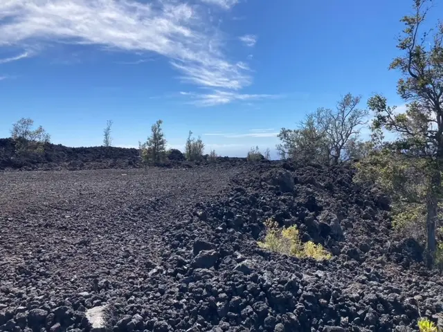 92-8953 Jacaranda Dr, Ocean View, HI 96737 - #1