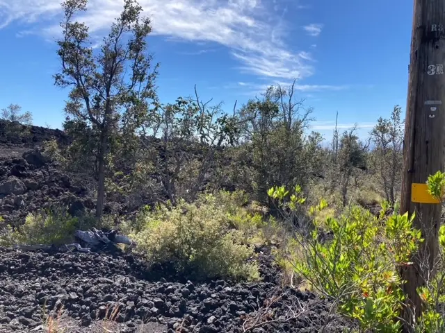 92-8953 Jacaranda Dr, Ocean View, HI 96737 - #3