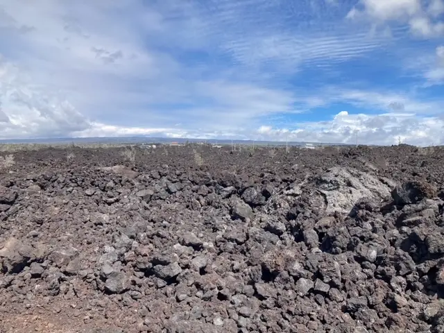 92-8950 Poha Dr, Ocean View, HI 96737 - #1