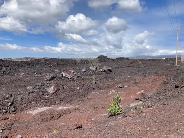 92-927 Kona Gardens Rd, Ocean View, HI 96737 - #1