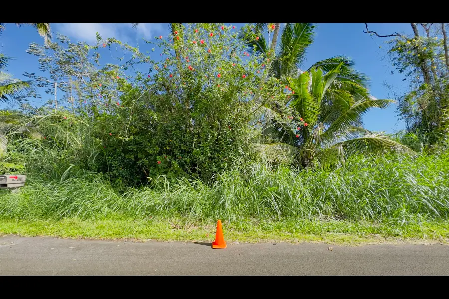 Ina St, Pahoa, HI 96778 - #2
