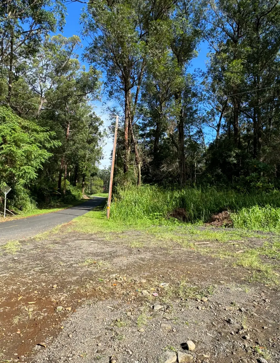 Wood Valley Rd, Pahala, HI 96777 - #3