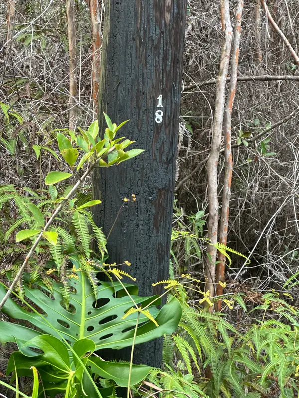 Road 3 (hopue), Kurtistown, HI 96760