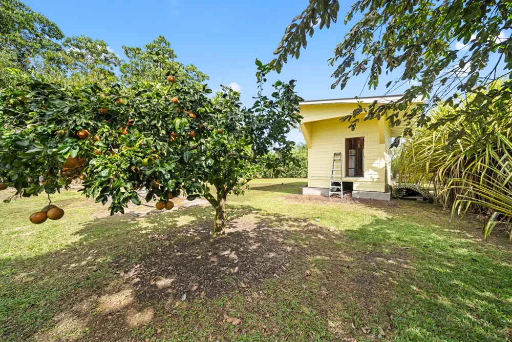 15-1385 15th Ave, Keaau, HI 96749 - #1