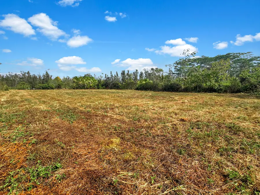 38th Ave, Kurtistown, HI 96760 - #2