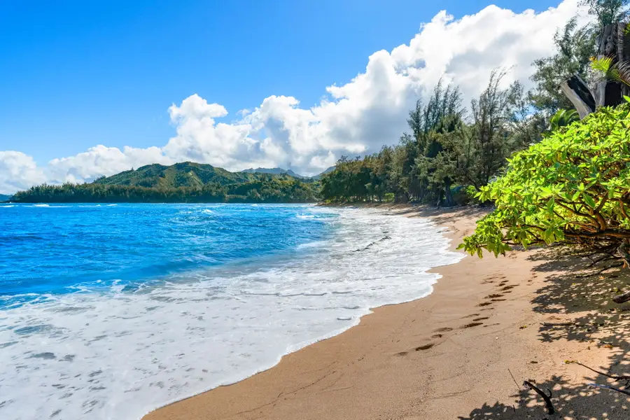 5-7062 Kuhio Hwy, Hanalei, HI 96722 - Image #3