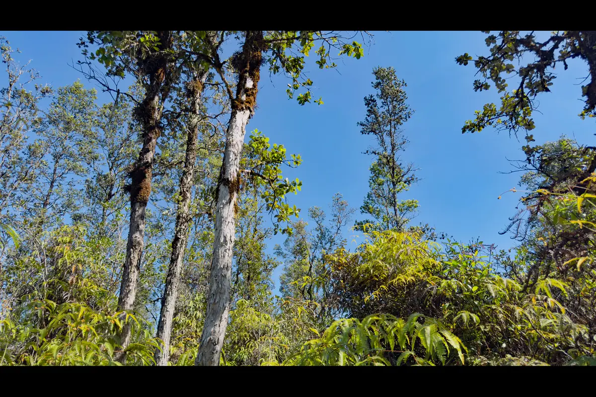 Road 2 (ao), Mountain View, HI 96771 - Image #1