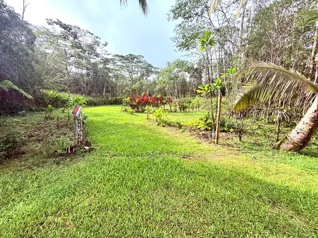 Hilo Rd, Pahoa, HI 96778 - Image #2