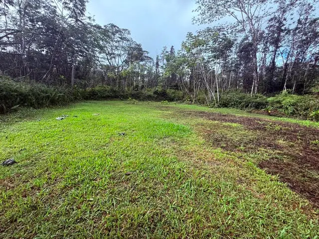 Hilo Rd, Pahoa, HI 96778 - Image #3
