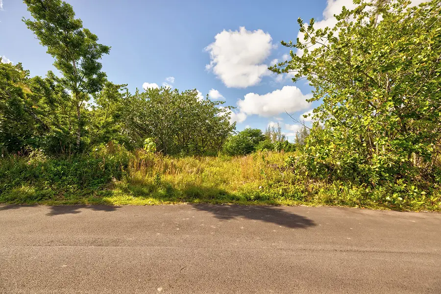 15-1702 1st Ave, Keaau, HI 96749 - Image #2