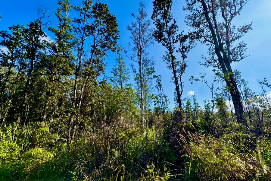 16-1301 Road 3 (hopue), Kurtistown, HI 96760 - #3