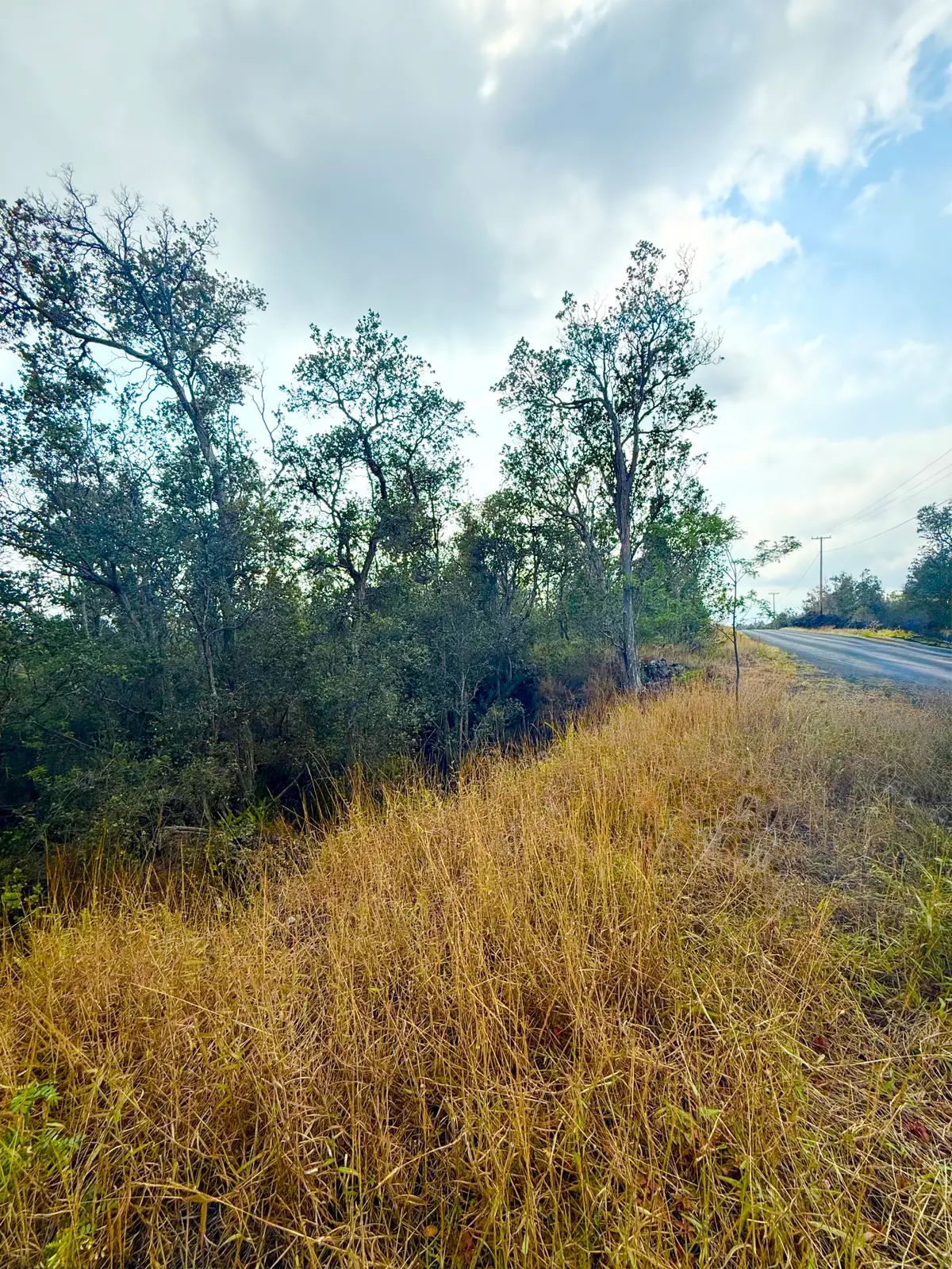 92-1970 Aloha Blvd, Ocean View, HI 96737 - Image #1