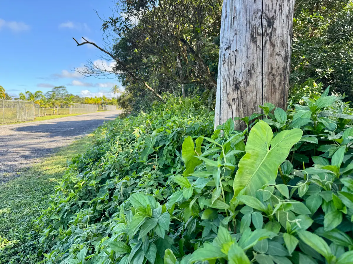 15-1730 11th Ave, Keaau, HI 96749 - #1