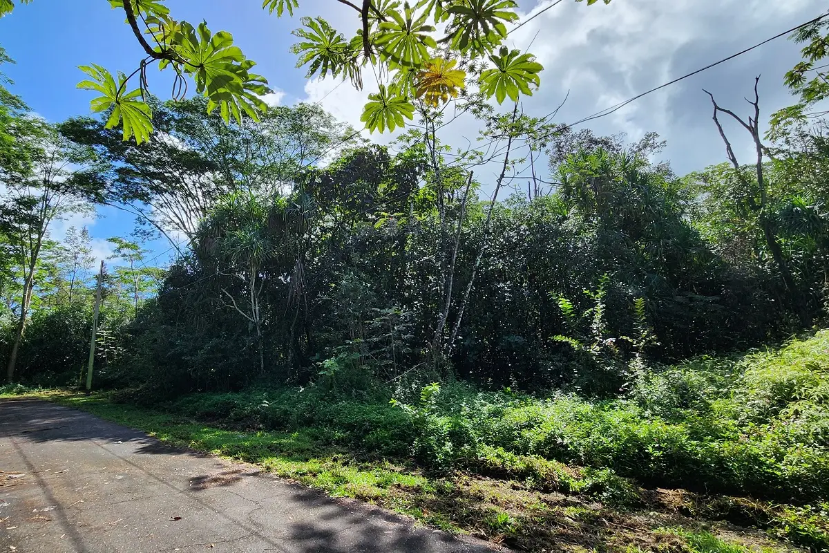 Ohiki St, Pahoa, HI 96778 - #1