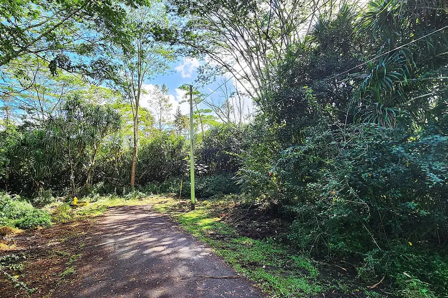Ohiki St, Pahoa, HI 96778 - #2