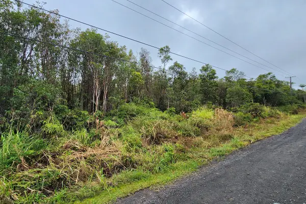 Kaleponi Dr, Volcano, HI 96785