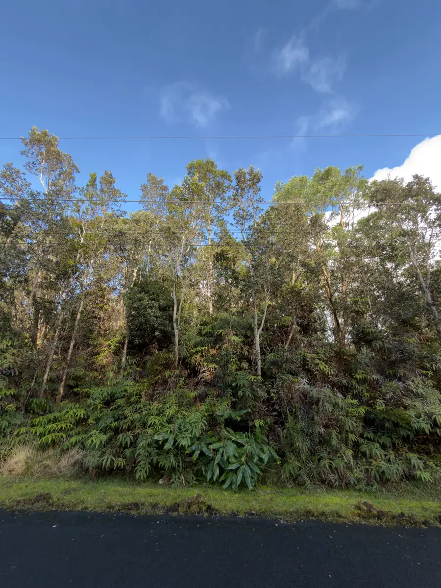 3rd St, Volcano, HI 96785 - #2