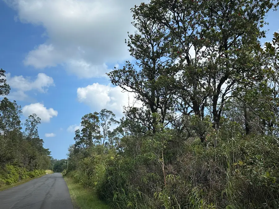 Kahikopele St, Mountain View, HI 96771 - Image #3