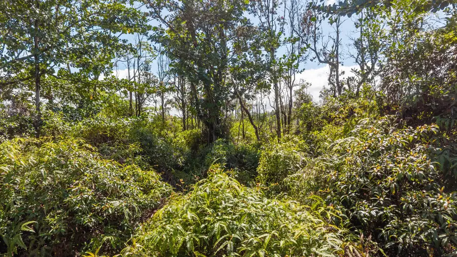 Loke Rd, Keaau, HI 96749 - #2