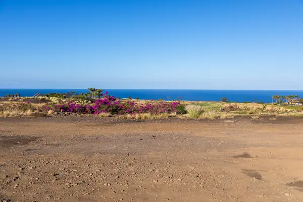 62-4424 Amaui Nani Pl, Kamuela, HI 96743