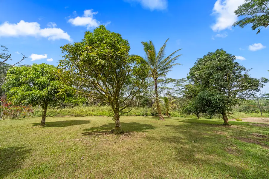13-824 Kahukai St, Pahoa, HI 96778 - #3