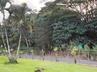 Address Withheld By Seller, Pahoa, HI 96778 - #3