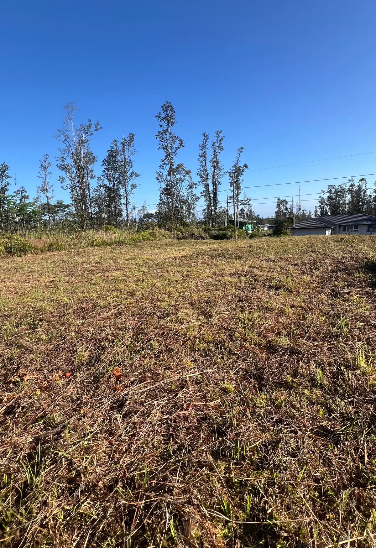 16-2052 Orchid Dr, Pahoa, HI 96778 - #1