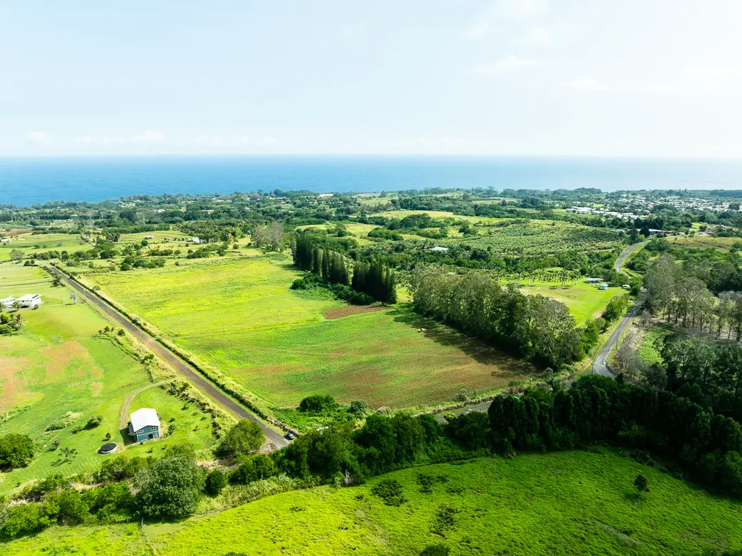 Airstrip Rd, Pepeekeo, HI 96783 - #1