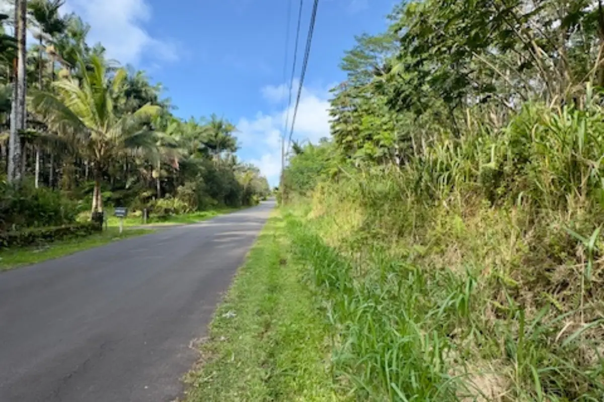 Maile St, Pahoa, HI 96778 - #1