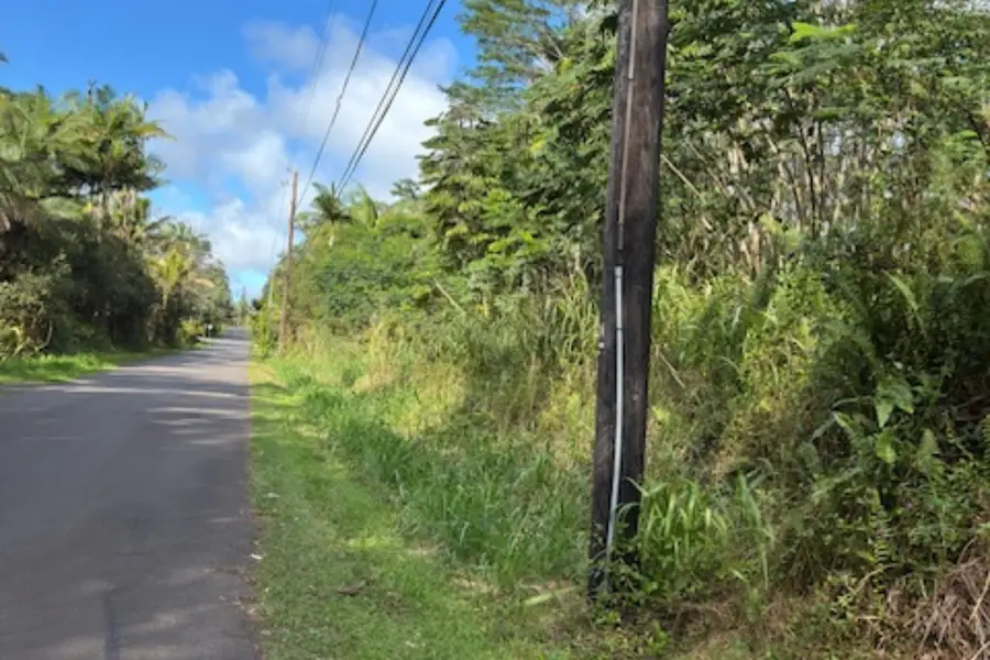 Maile St, Pahoa, HI 96778 - #3