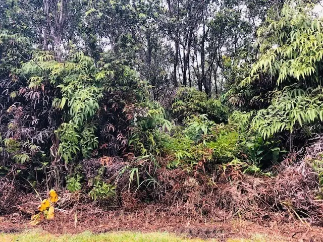 11-3820 1st St, Volcano, HI 96785 - #2