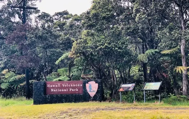 11-3820 1st St, Volcano, HI 96785 - #3