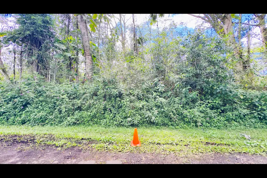 Plumeria Rd, Pahoa, HI 96778 - #2