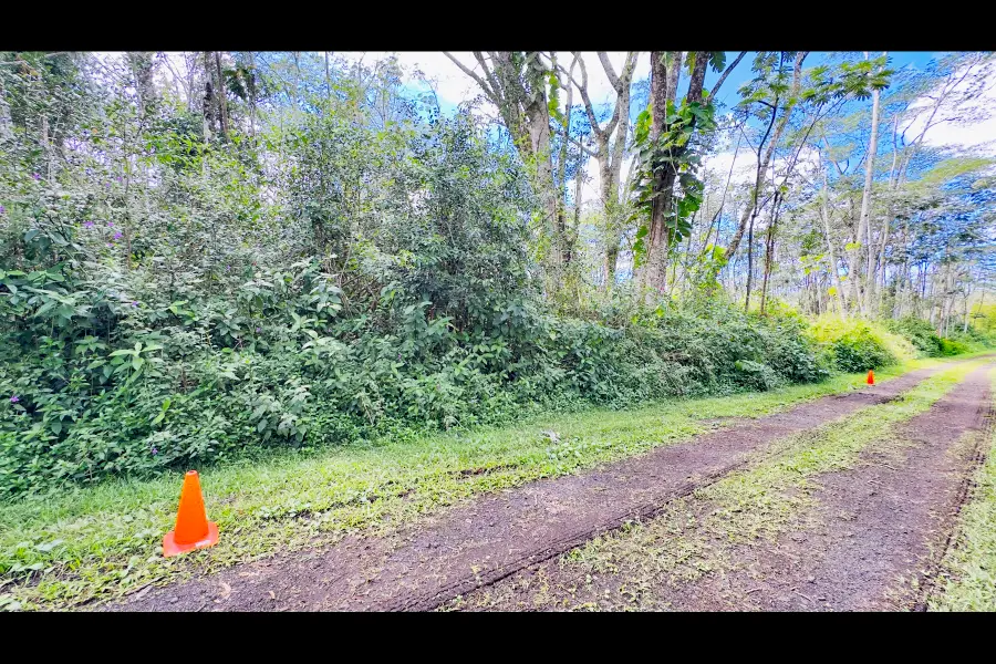 Plumeria Rd, Pahoa, HI 96778 - #3