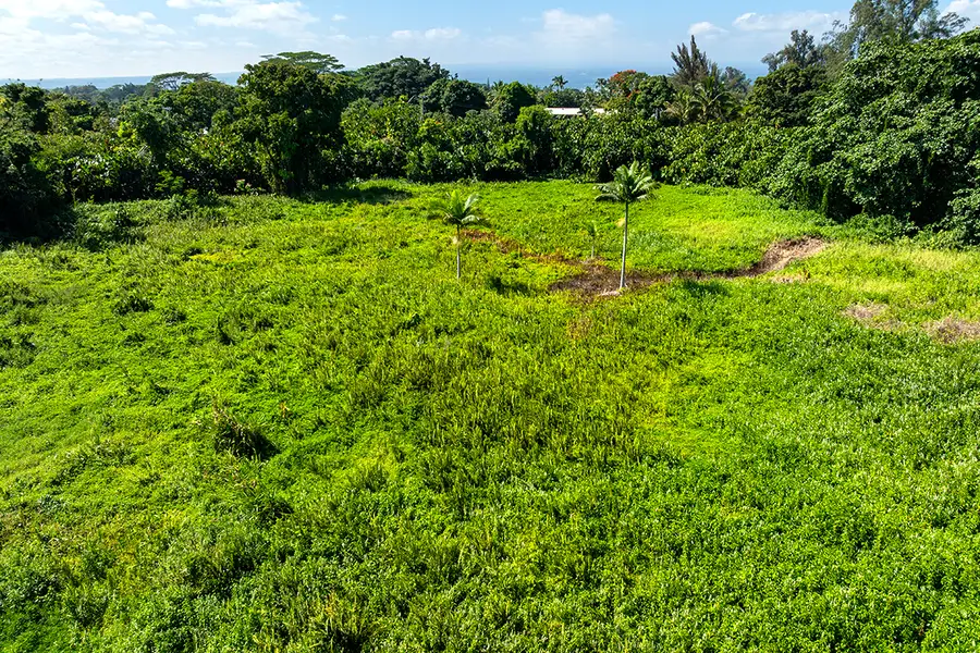 Kalanianaole Ave, Hilo, HI 96720 - #2