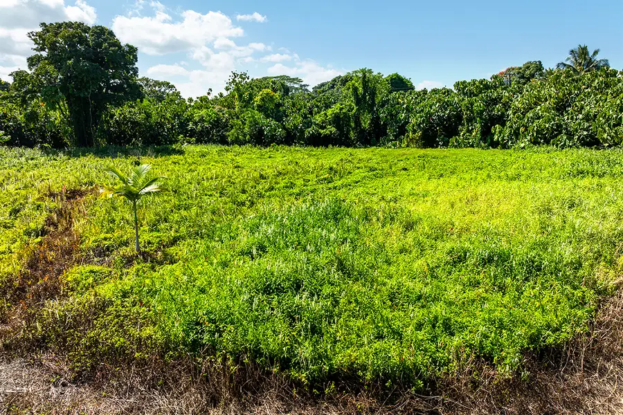 Kalanianaole Ave, Hilo, HI 96720 - #3