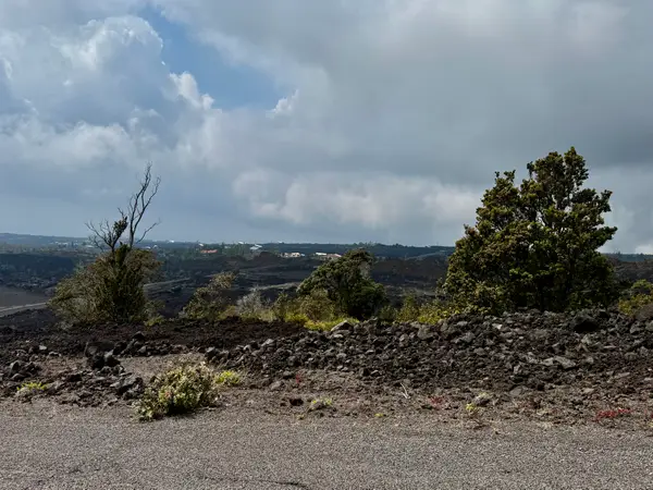 Liliana Ln, Ocean View, HI 96737