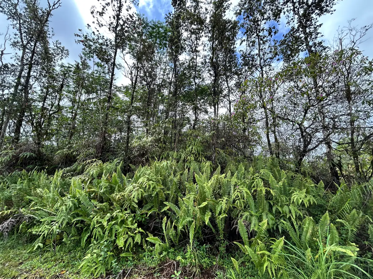 Aloha Ct, Kurtistown, HI 96760 - #1