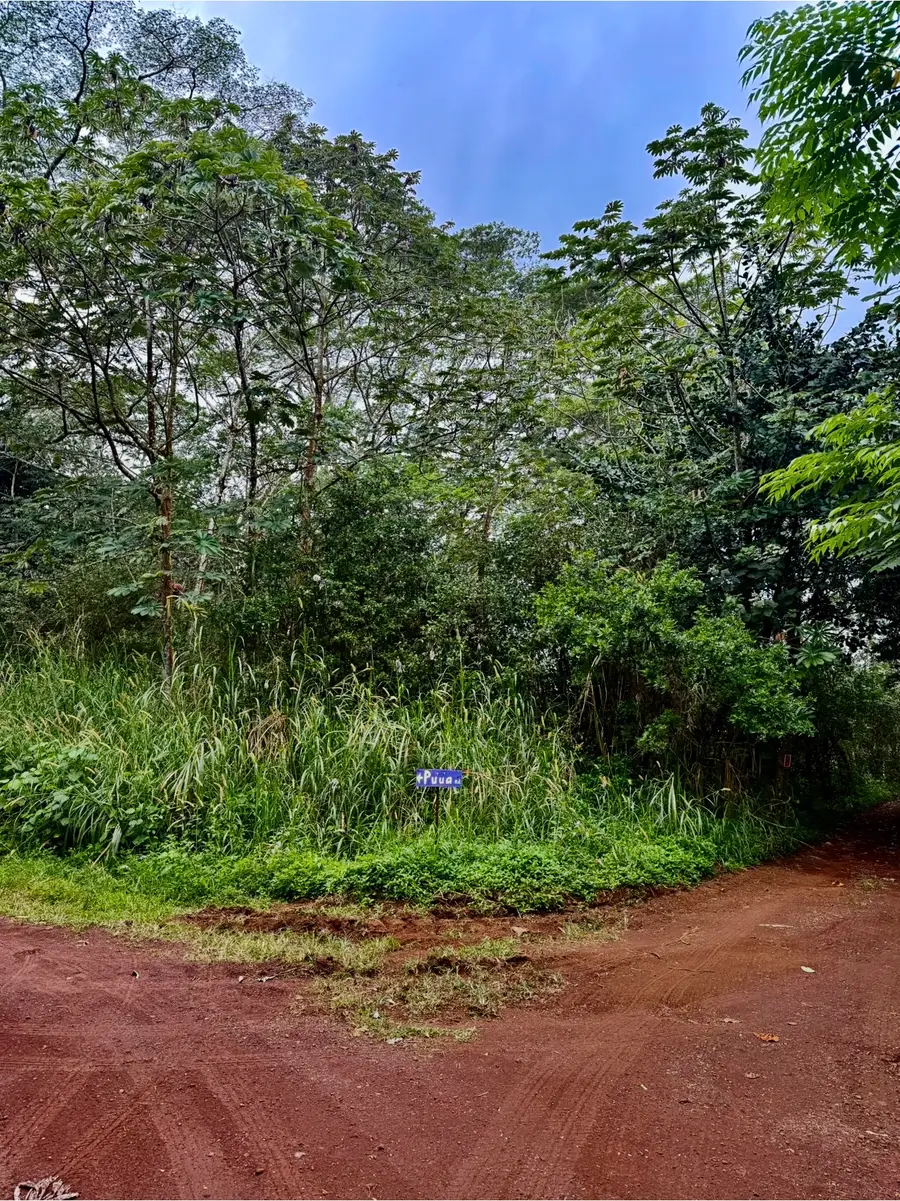 Puua Kapoho Rd, Pahoa, HI 96778 - #2