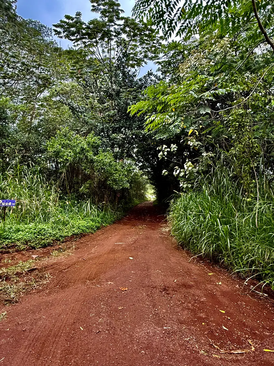 Puua Kapoho Rd, Pahoa, HI 96778 - #3