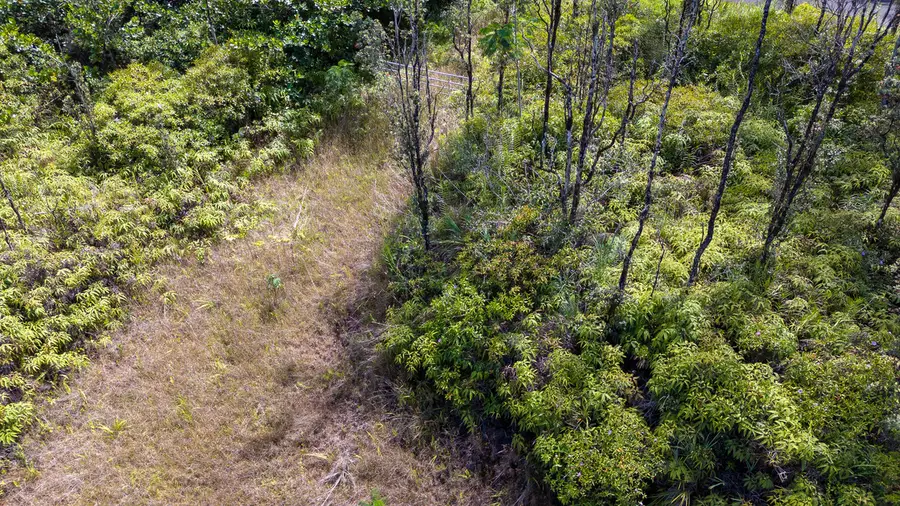 15-1899 31st Ave, Keaau, HI 96749 - #3