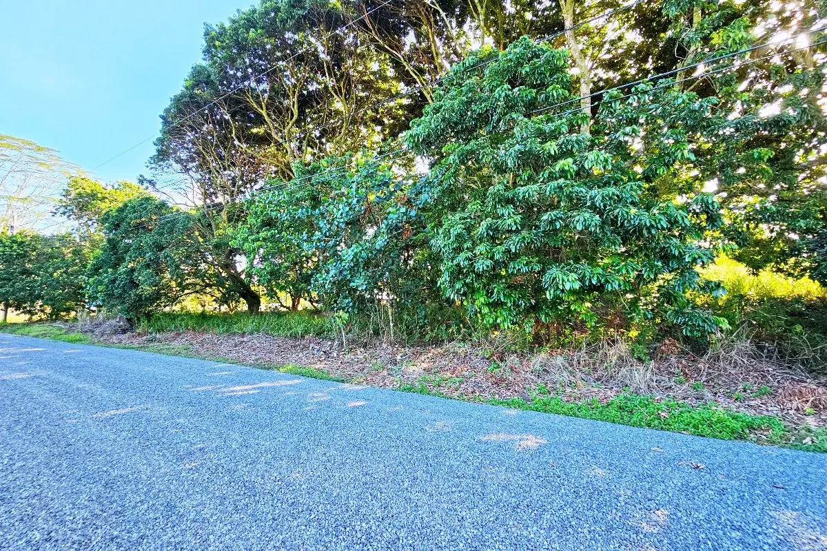 16th Ave, Keaau, HI 96749 - #1