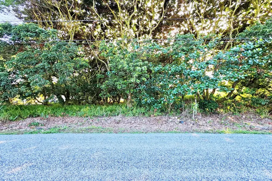 16th Ave, Keaau, HI 96749 - #2